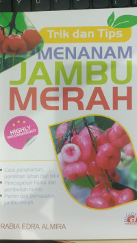 Image of Trik dan Tips Menanam Jambu Merah